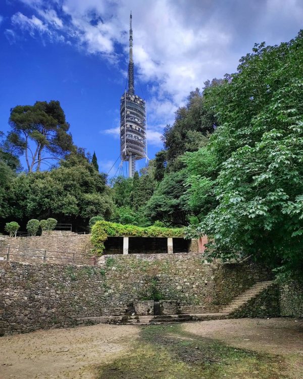 budellera collserola