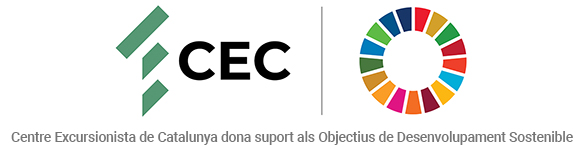 Logo ODS-CEC_web5