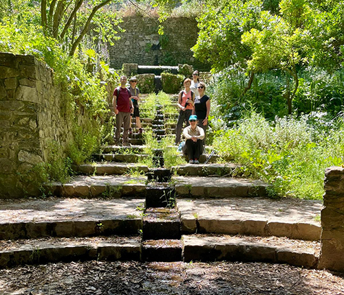 camina entre natura desembre